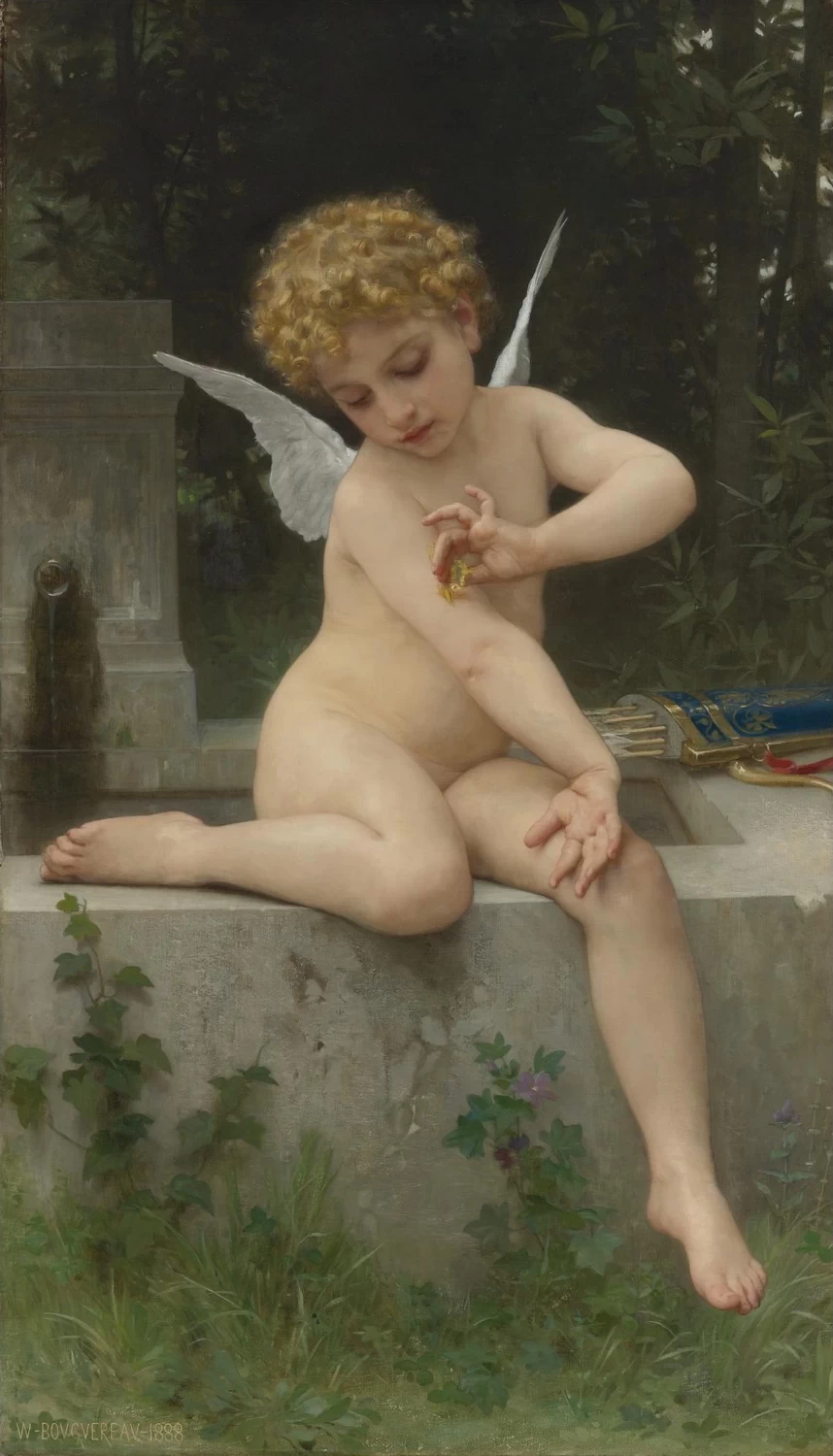 Amore delle farfalle